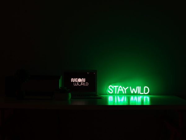 Stay wild 40cm
