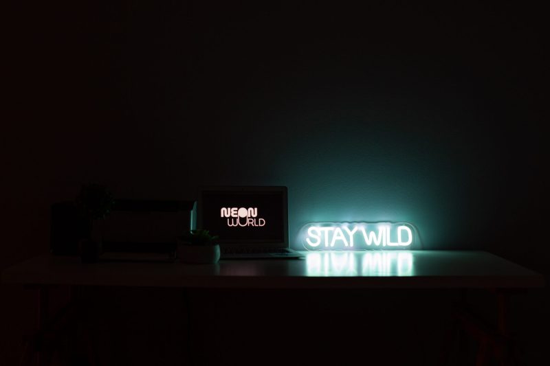 Stay wild 40cm