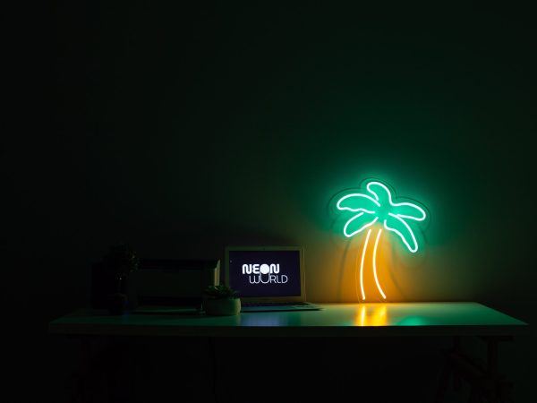 Palm 50cm
