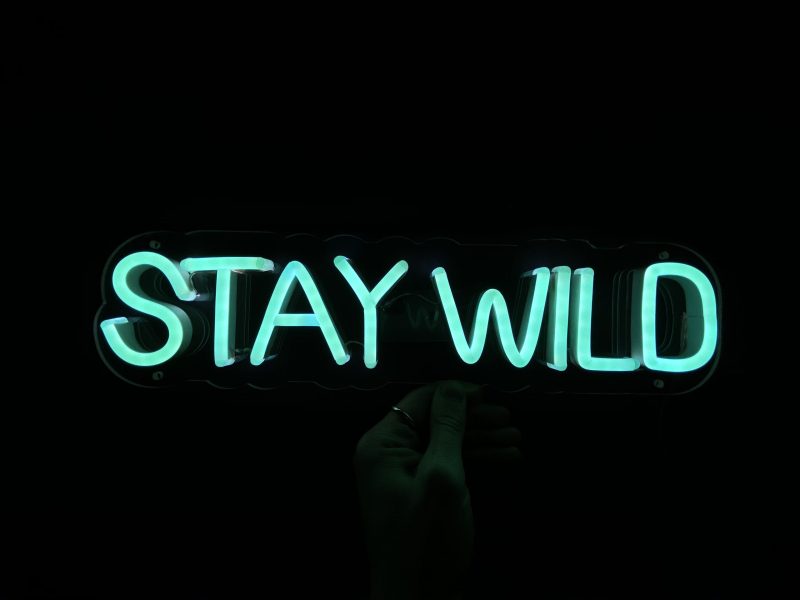 Stay wild 40cm - Image 2